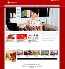 打造可視化家居用品網(wǎng)站 北京專業(yè)網(wǎng)站建設(shè)與響應(yīng)式設(shè)計(jì)